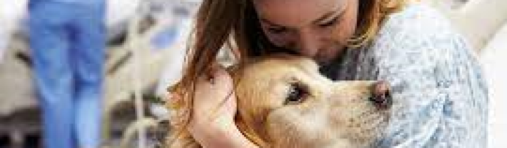 pet paciente